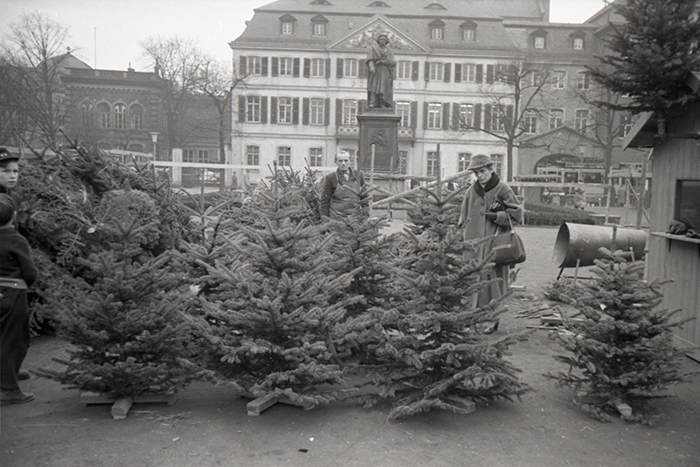 Weihnachtsbaumverkauf auf dem Münsterplatz 1972
